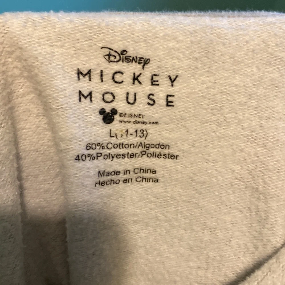 Disney Juniors Large Mickey & Friends Hoodie - Picture 8 of 9
